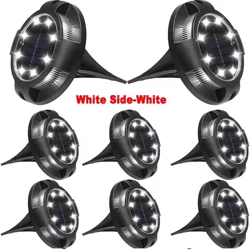 Solar Powered Garden Lights